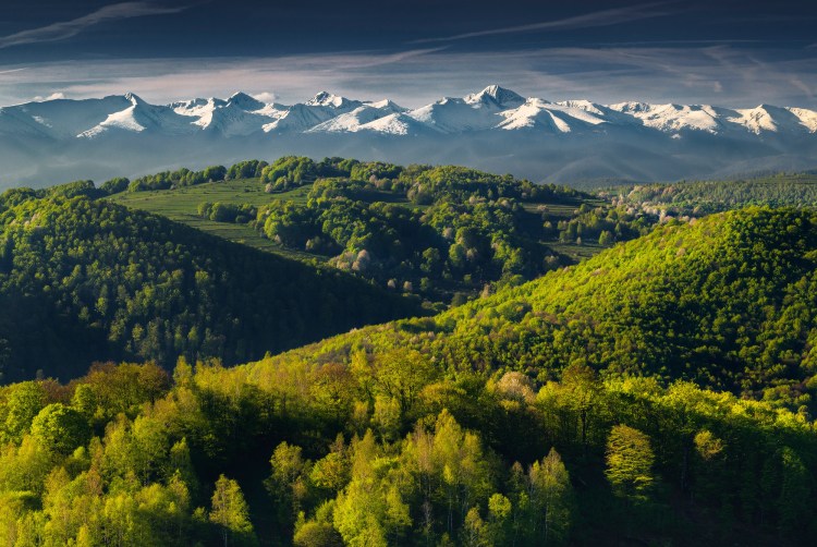 Suntem intr-un loc prin muntii Poiana Rusca, undeva dupa satul Socet cu un punct de belvedere deosebit, de unde putem vedea padurile de foioase de un verde crud de primavara care ni se aseaza la picioare pe culmile dealurilor din fata, iar in spate crestele inzapezite ale muntilor Retezat. Se creeaza un contrast deosebit.