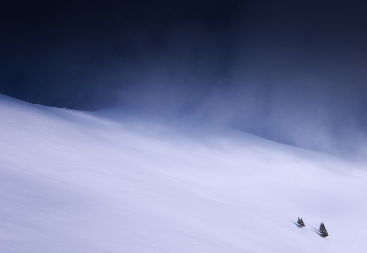 O imagine minimalista de iarna. Avem o panta a unui munte acoperit de zapada, iar in coltul din dreapta jos doi brazi separati unii de altii, cerul este acoperit de un palfon gros de nori de culoare albastru inchis, o parte din nori se revarsa usor ca o avalansa.