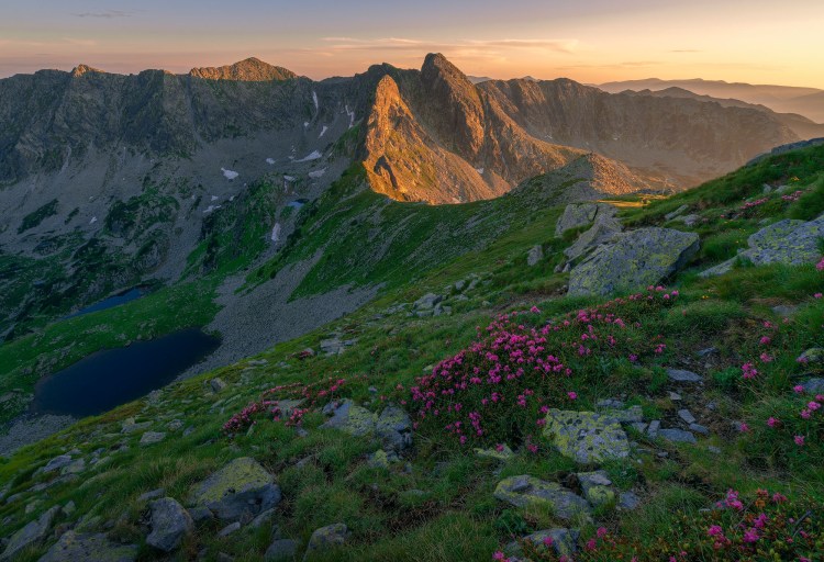 Image made in Retezat National Park - Romania. Golden sunlight bathes the rugged mountain peaks, casting long shadows across the rocky terrain. Vibrant pink flowers dot the lush green slope, overlooking a tranquil alpine lake nestled below.